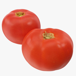 Tomato Hybrid टोमॅटो हाय 