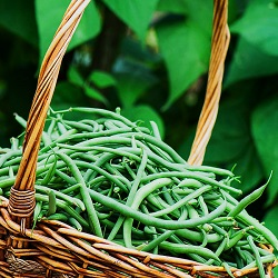 French Beans श्रावण घेवडा 