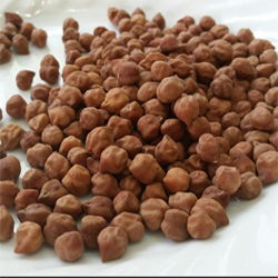 Chana Or Gavaran Harbara Gram हरबरा