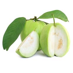 Guava पेरू